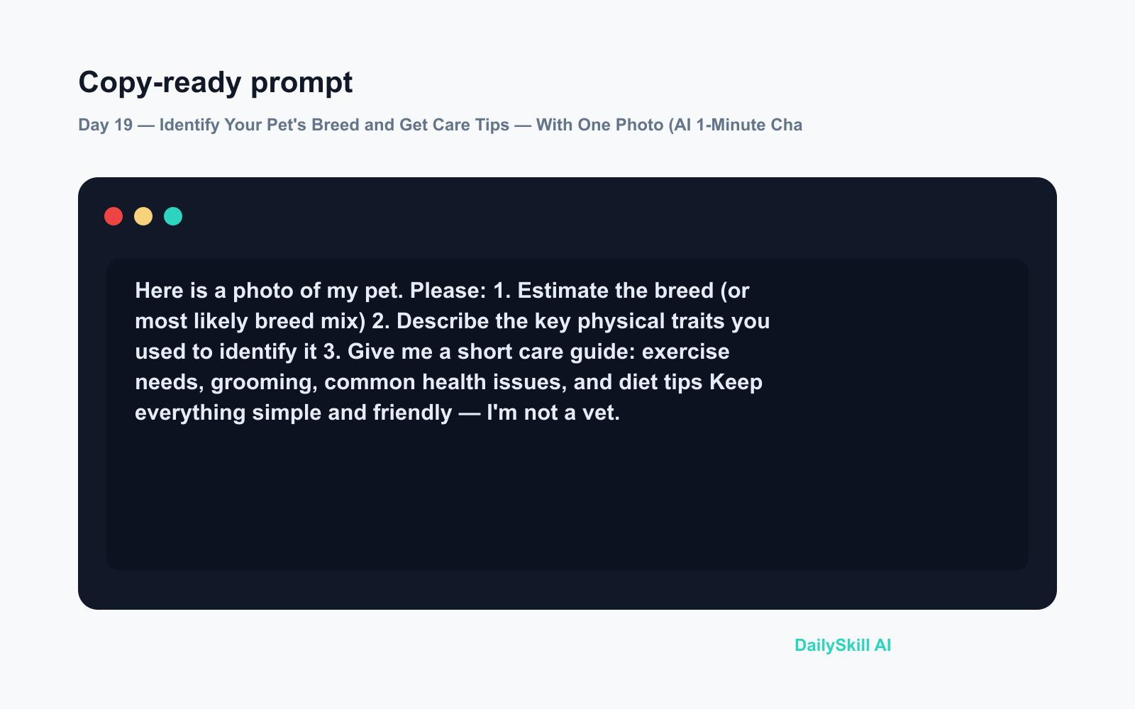 Day 19 — Identify Your Pet's Breed and Get Care Tips — With One Photo (AI 1-Minute Challenge) - Prompt input visual