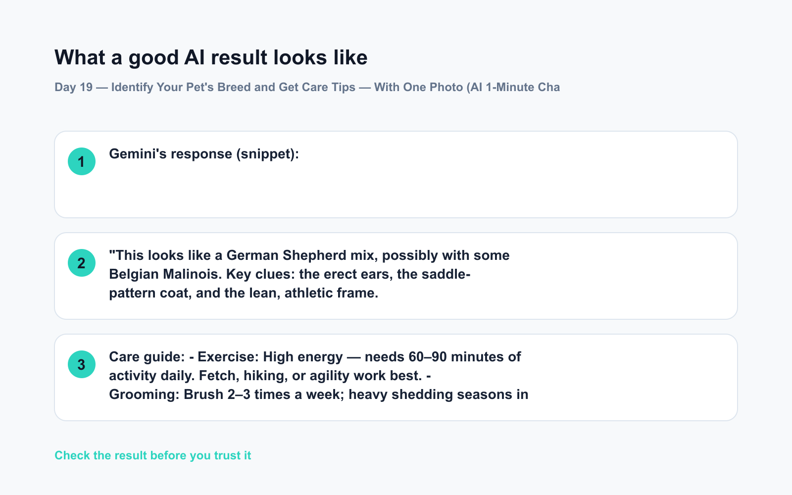 Day 19 — Identify Your Pet's Breed and Get Care Tips — With One Photo (AI 1-Minute Challenge) - Expected AI result visual