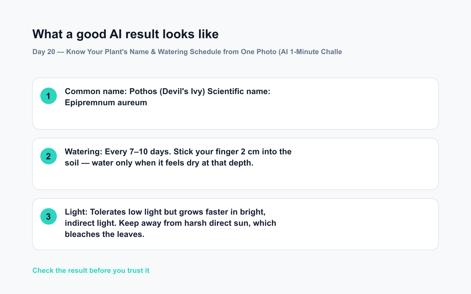 Day 20 — Know Your Plant's Name & Watering Schedule from One Photo (AI 1-Minute Challenge) - Expected AI result visual